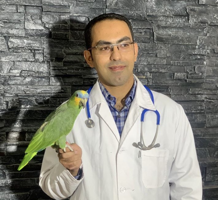 کارگاه آموزشی معاینه پرندگان